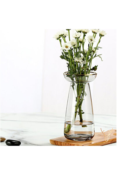 Ada Crafts ALTO ŞEFFAF GOLD DETAYLI CAM VAZO - 18 cm