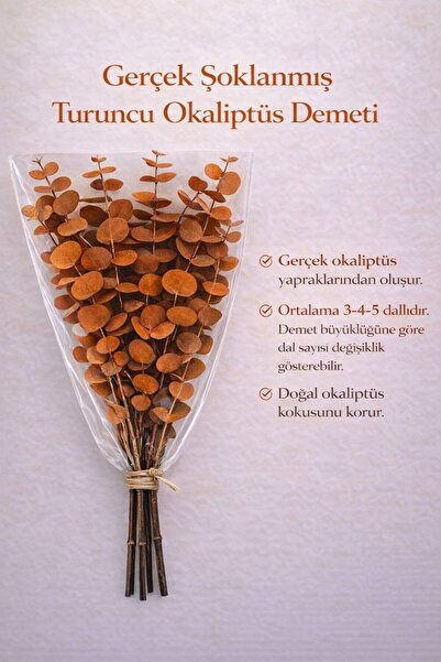 Bontia Gerçek Şoklanmış Turuncu Okaliptüs Demeti | Doğal Kokulu | Büyük Yapra...