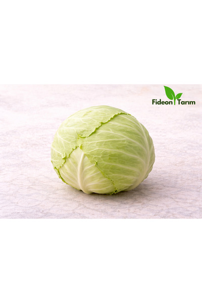 Fideon Turşuluk Sebze Fidesi Seti | Beyaz Lahana – Dikenli Salatalık – Acı Bi...