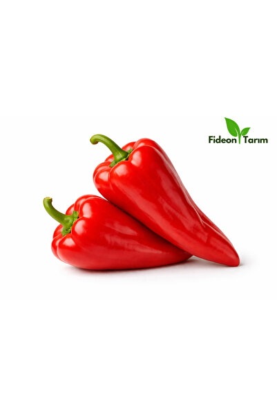 Fideon Tatlı Kapya Biber Fidesi | Bahçe ve Saksıya Uygun – 5 Adet