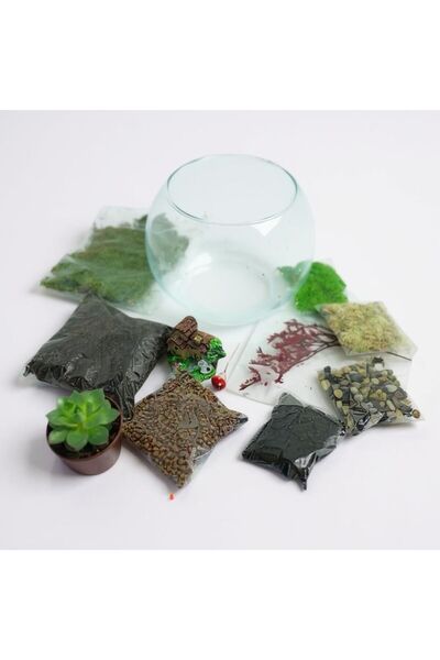 YoyoMoyo teraryum başlangıç kiti akvaryum fanus