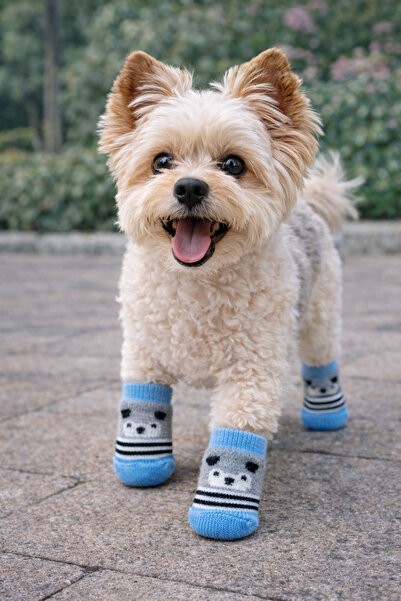 mastercat مجموعة جوارب تيدي بير للكلاب - 4 قطع مع قاعدة غير قابلة للانزلاق