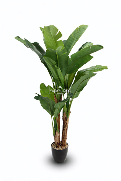 Yapay Çiçek Deposu Yapay Ağaç 3 Gövde Tropik 21 Yapraklı Muz Gerçek Doku 200 cm