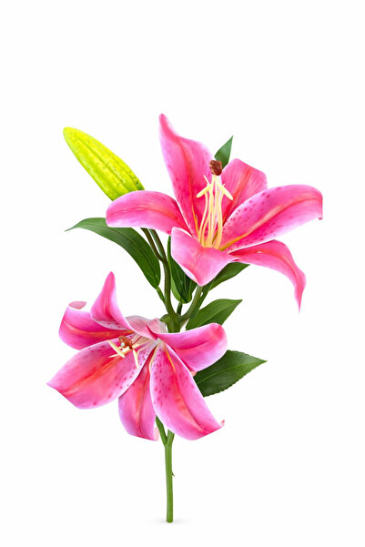 OEM Artificial deep pink lily with 2 flowers and bud, elegant decorative look...