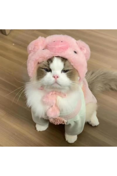 Choice1 A Pet Cute Cat Hat Plush Elastic Winter Puppy Kitten Knitted Hat Part...