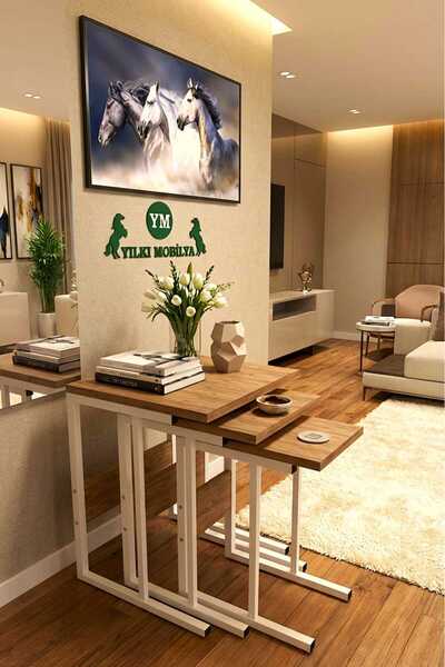 Yılkı Mobilya Eko C Zigon Sehpa Beyaz Metal Ayaklı