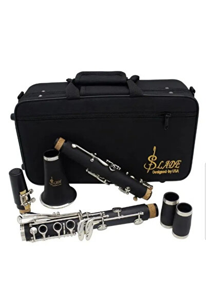 OEM Professional Clarinet Slade system 17 keys 6 nickel-plated rings box