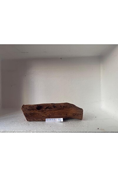 Meç Mangrow Kökü (No:48101) [28x8x5h]