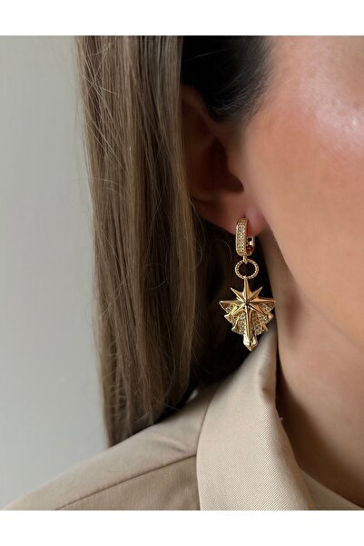 staınless steel North Star Steel Earrings with Zircon Stone and Dangle