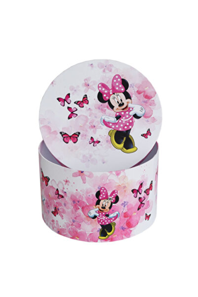 Inovius Baptism Suitcase Transport Box, Pink Minnie Mouse Model with Butterfl...