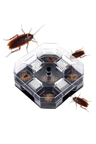 AVA Capcana cu Momeala pentru Gandaci, Ecologica, Fara Chimicale, 13.5x13.5cm