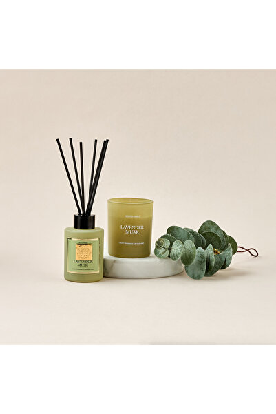 Lifestyle مجموعة ناشر عطر برائحة اللافندر والمسك مع أعواد القصب وشمعة في برطمان