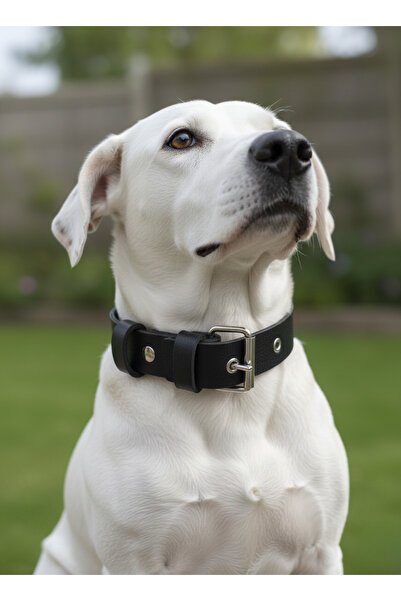 balkonda Dog Collar Adjustable Small, Medium, Large and Very Large Breeds 3cm...