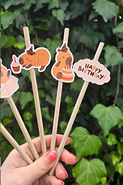 PEKSHOP Kapibara Pipet Süsleri 10lu Capybara Konsept Lüks Pipet Paketi