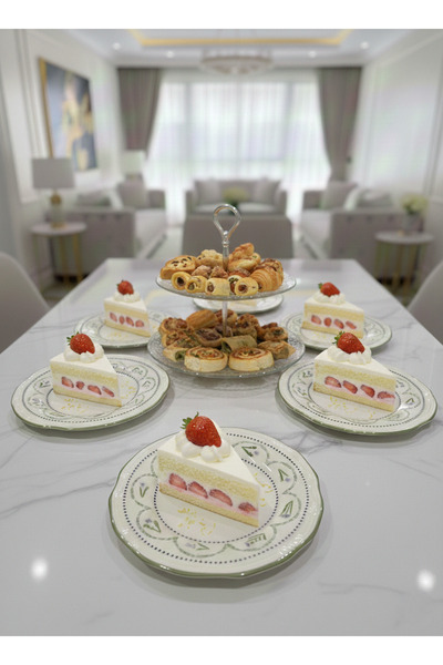 FARALYAHOME Porcelain Pasta Plate, Presentation Plate Set of 6 20 cm Spring S...