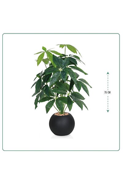 SADANHOME Leaf seedling, heart-shaped plastic pot, 75