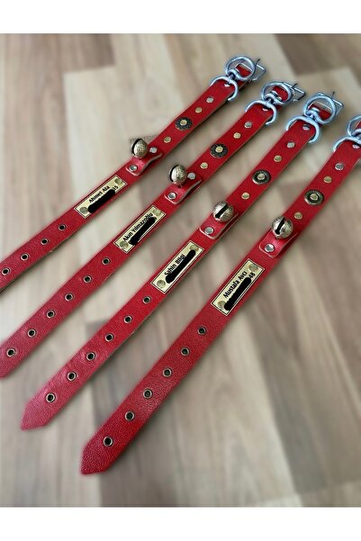 Sürmeli Tasma İsteğinize Özel İsimli Av Köpeği Tasması Hakiki Deri Tek Zilli ...
