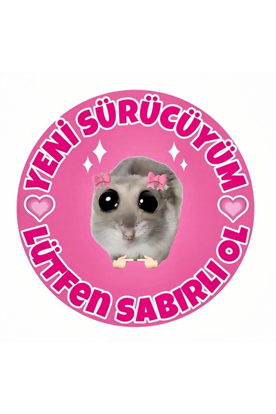 Limitless Design سائق جديد – من فضلك اهدأ، ملصق هامستر لطيف (15×15 سم)