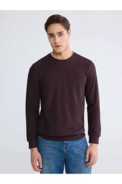 LC Waikiki LCWAIKIKI ClassicMürdüm guler rotund Swea pentru bărbați tricou