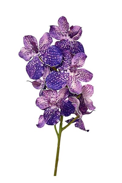 Nettenevime Yapay Çiçek Mor Eva Orkide Büyük Boy Gerçeksi Doku Uzun Dal 68cm