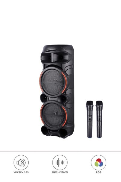 Başkenttekno 2058 Çift Kablosuz Mikrofonlu RGB Ledli Taşınabilir Bluetooth Ho...