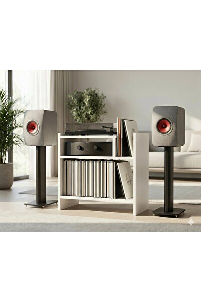 CEYLANDESİGN Ceylan Design Yan Sehpa, Büyük Plak Çalar Masası, LP Düzenleyici...