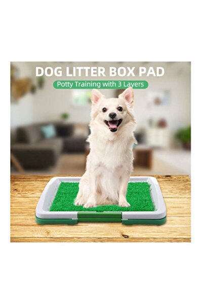 DOMEET وسادة صندوق فضلات الكلاب العامة أخضر/أبيض