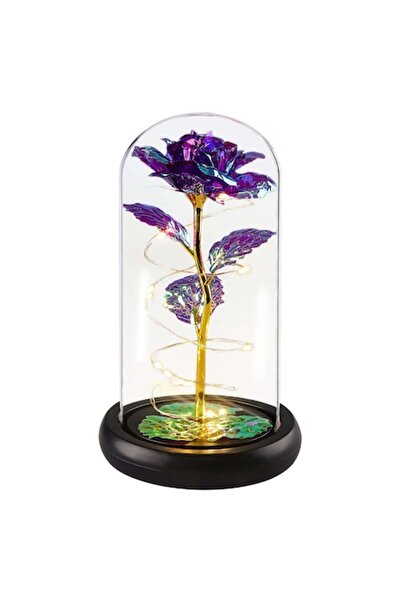 OEM Trandafir criogenat din sticlă în cupolă cu lumini LED, violet