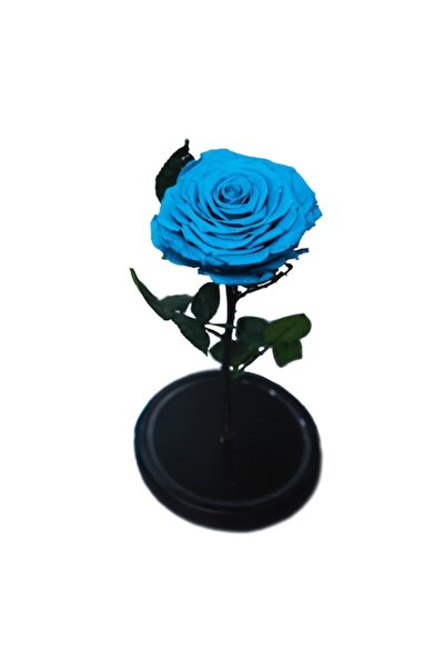 OEM Trandafir criogenat