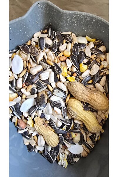 Ankara Yem Evi Parrot Jako Kakadu Amazon Papağanı Yemi 1kg