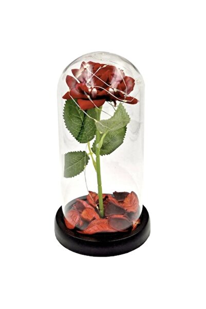OEM Eternal Rose in Glass Dome