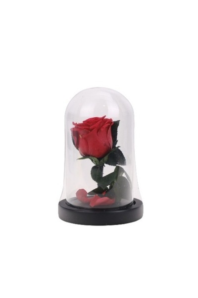 OEM Red Cryogenic Rose, Glass Dome, 17 cm Height