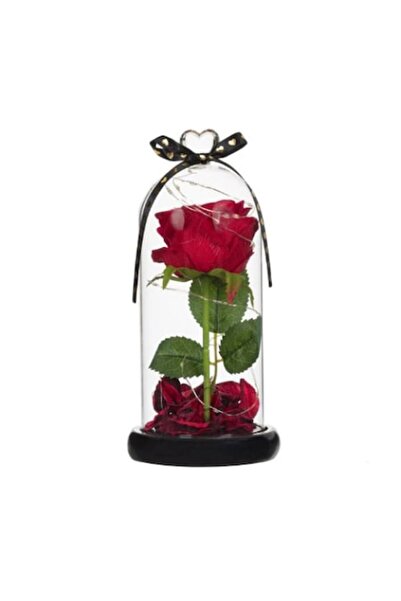OEM Glass Dome with Artificial Rose and Lights, 11 x 24 cm