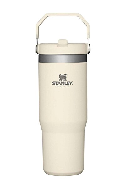 Generic Stanley IceFlow 30oz Stainless Steel Tumbler with Straw, Vacuum Insul...
