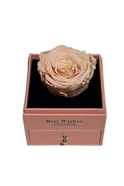 OEM XL Pink Cryogenated Rose