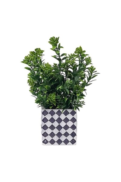 OEM Ghiveci ornamental din plastic, 10x20 cm, verde-multicolor