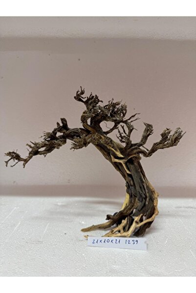 Meç Moss Ağaç Figürü Kök (No:1239) [21x10x21h]