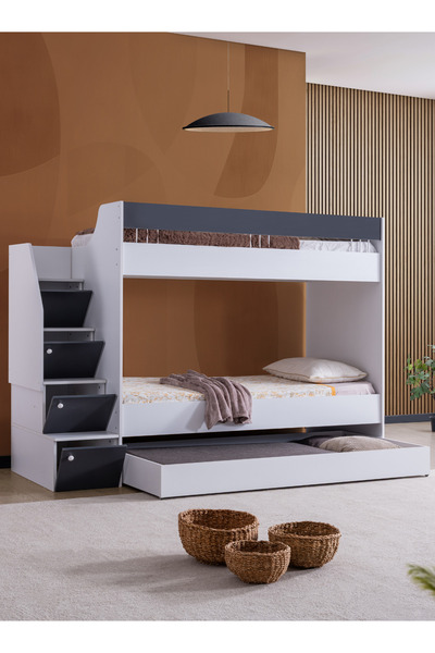 Setay Yavrulu Ranza, Martin Yavrulu Ranza - Antrasit