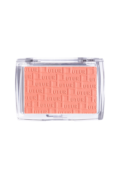 Future Makeup Blusher