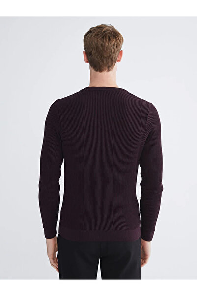 LC Waikiki طاقم الرقبة سترة تريكو للرجال