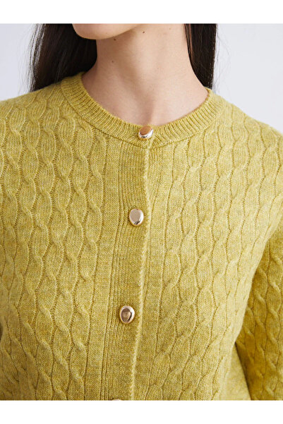 LC Waikiki Crew Neck Self Patterned Women's Knitwear Cardigan