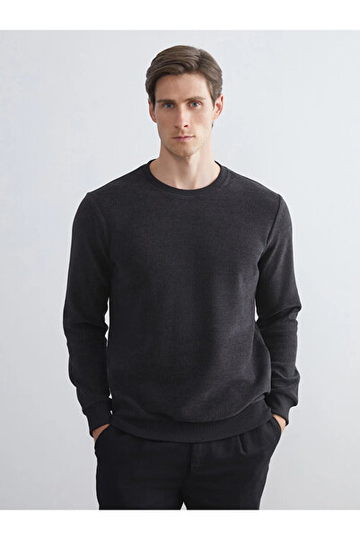 LC Waikiki طاقم الرقبة البلوز الرجال