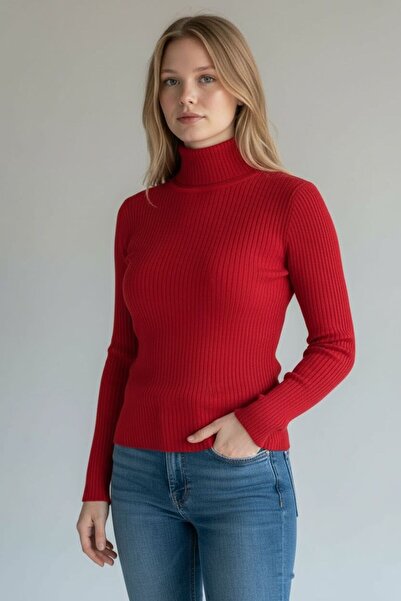 WYNA BOUTİQUE Women's Turtleneck Knitwear Sweater