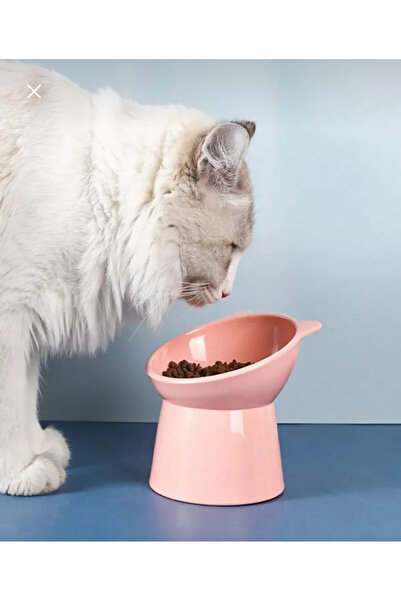 MİMOZA PARK Kulaklı Eğimli Kedi - Köpek Evcil Hayvan Su ve Mama Kabı
