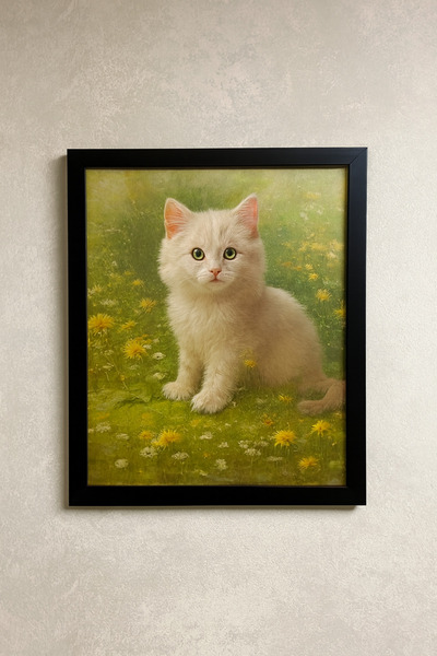SOFT Frame