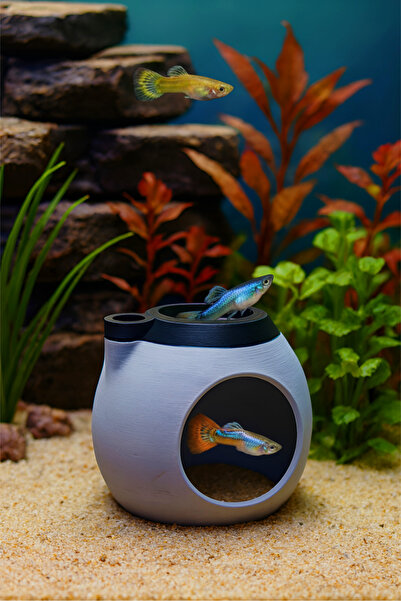 Akvaryum Balık Yuvası ✱ Testi ✱ Japon , Tetra , Çöpçü , Lepstes , Beta Uyun ✱...