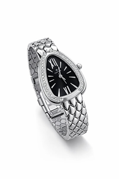 naaksesuar Triangle Design Stone Women's Watch Brand Model Silver Color