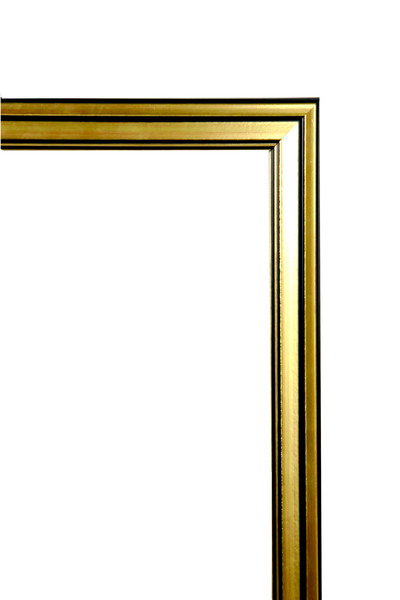 AS TİCARET Fotoğraf, evrak ve puzzle Çerçevesi 30 mm 40X50cm 20p altın