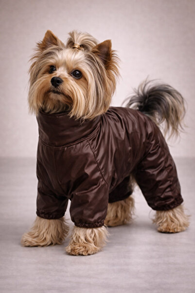 Alphadog Design Coverall Leather 4 Bacak Köpek Yağmurluğu