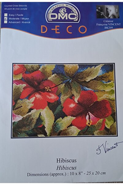 Dmc Kanaviçe Nakış Kiti